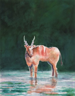 Painting Eland Chosen For Book The Artists Design 